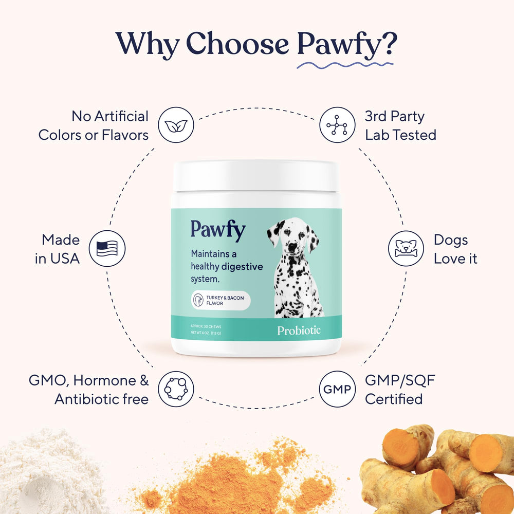 Pawfy probiotic chews in a bowl suggesting daily feeding routine