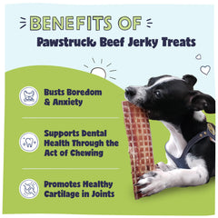 Pawstruck single 4"–6" beef strip displayed on white surface for size clarity