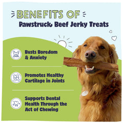 Pawstruck close-up beef texture highlighting natural flavor benefit