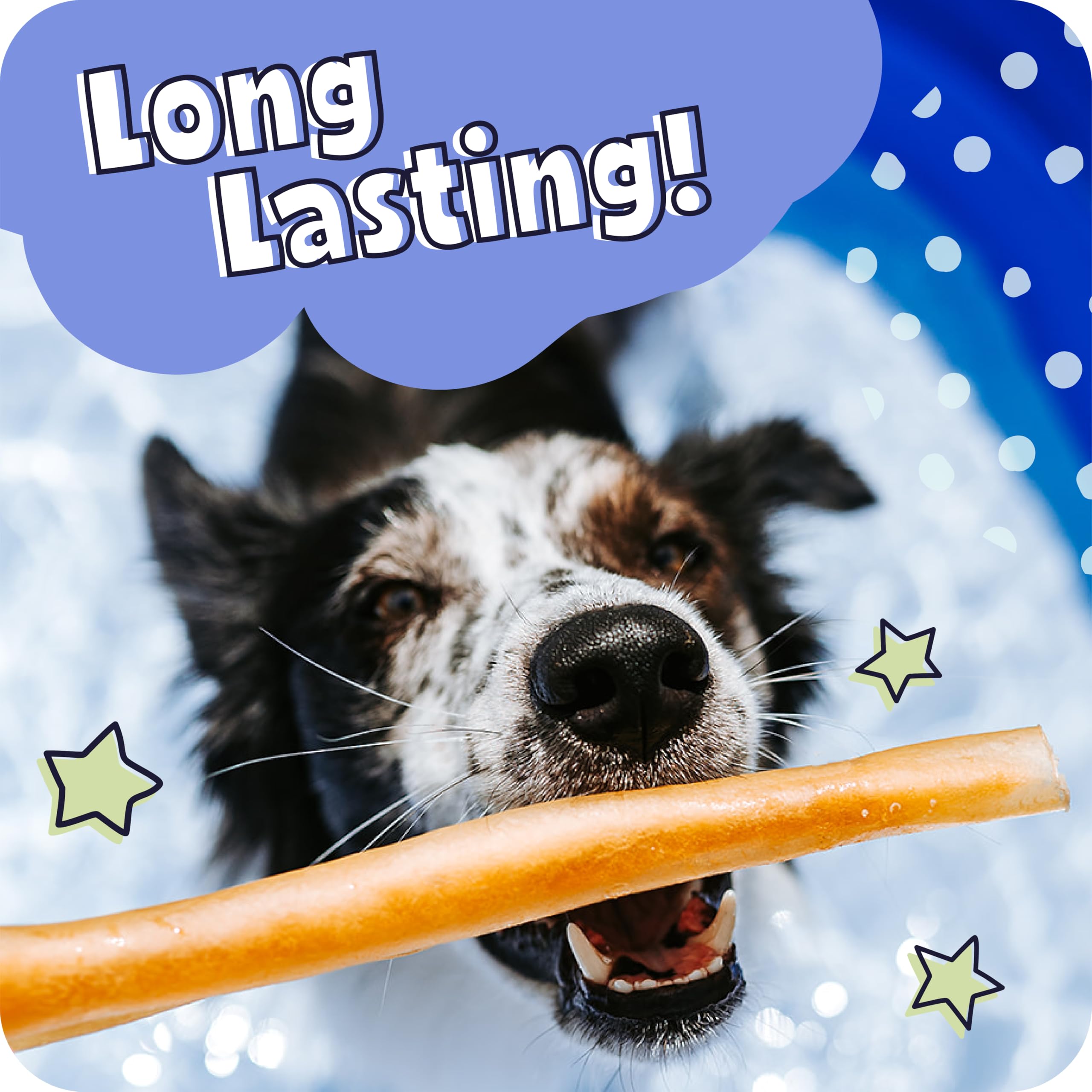 Pawstruck 11–12 inch stick beside measuring tape demonstrating length benefit