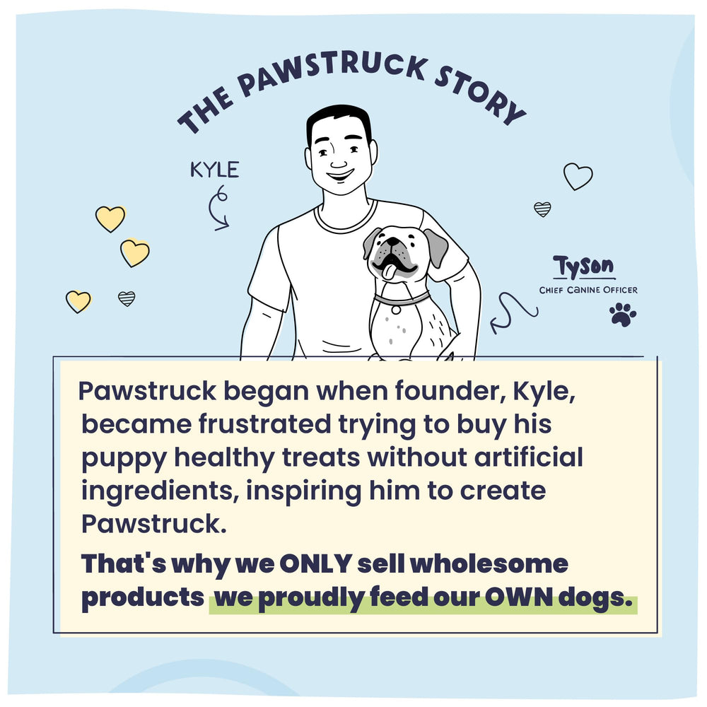 Pawstruck lifestyle shot giving treat moment and bonding benefit