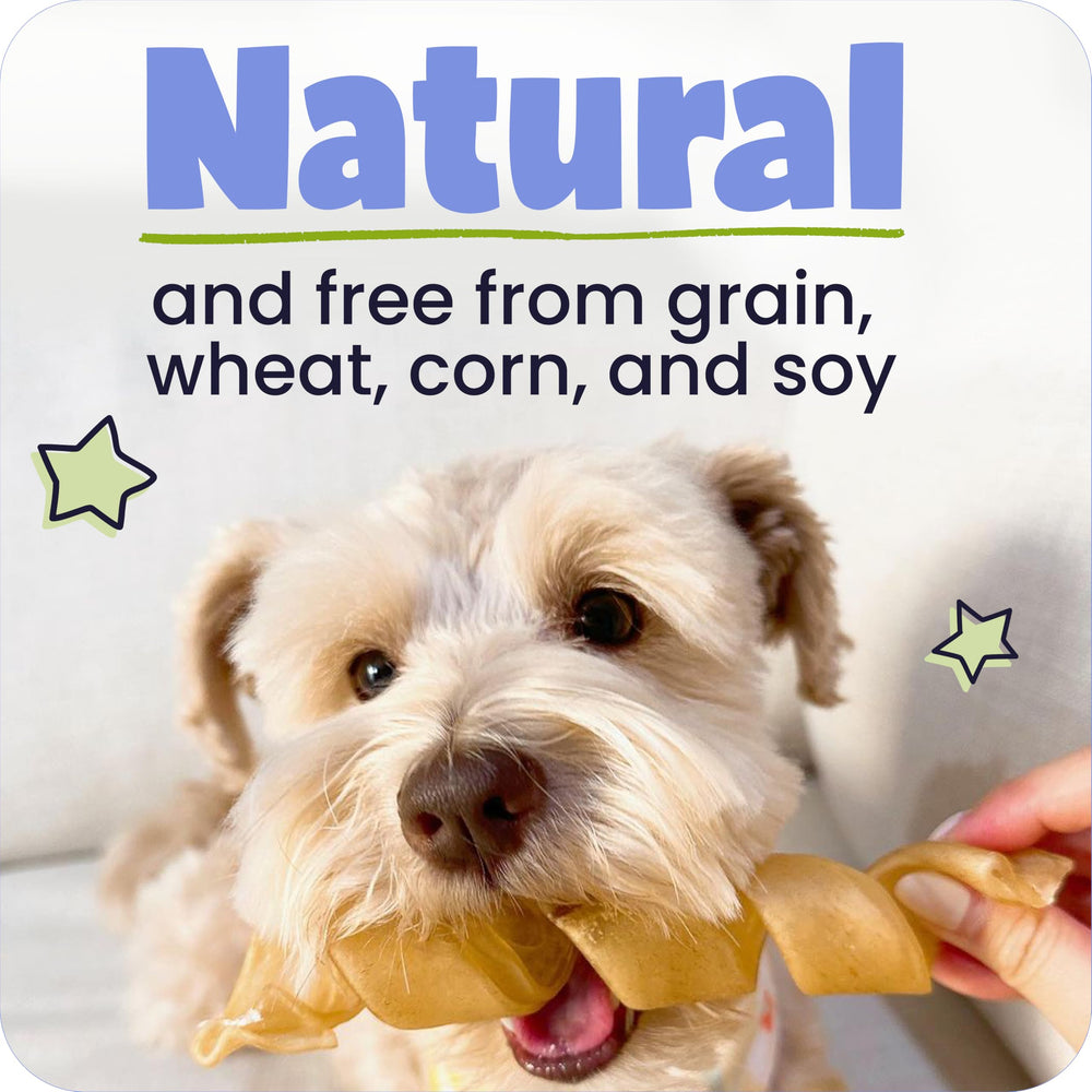 Pawstruck close-up of roasted collagen stick texture for durable chewing