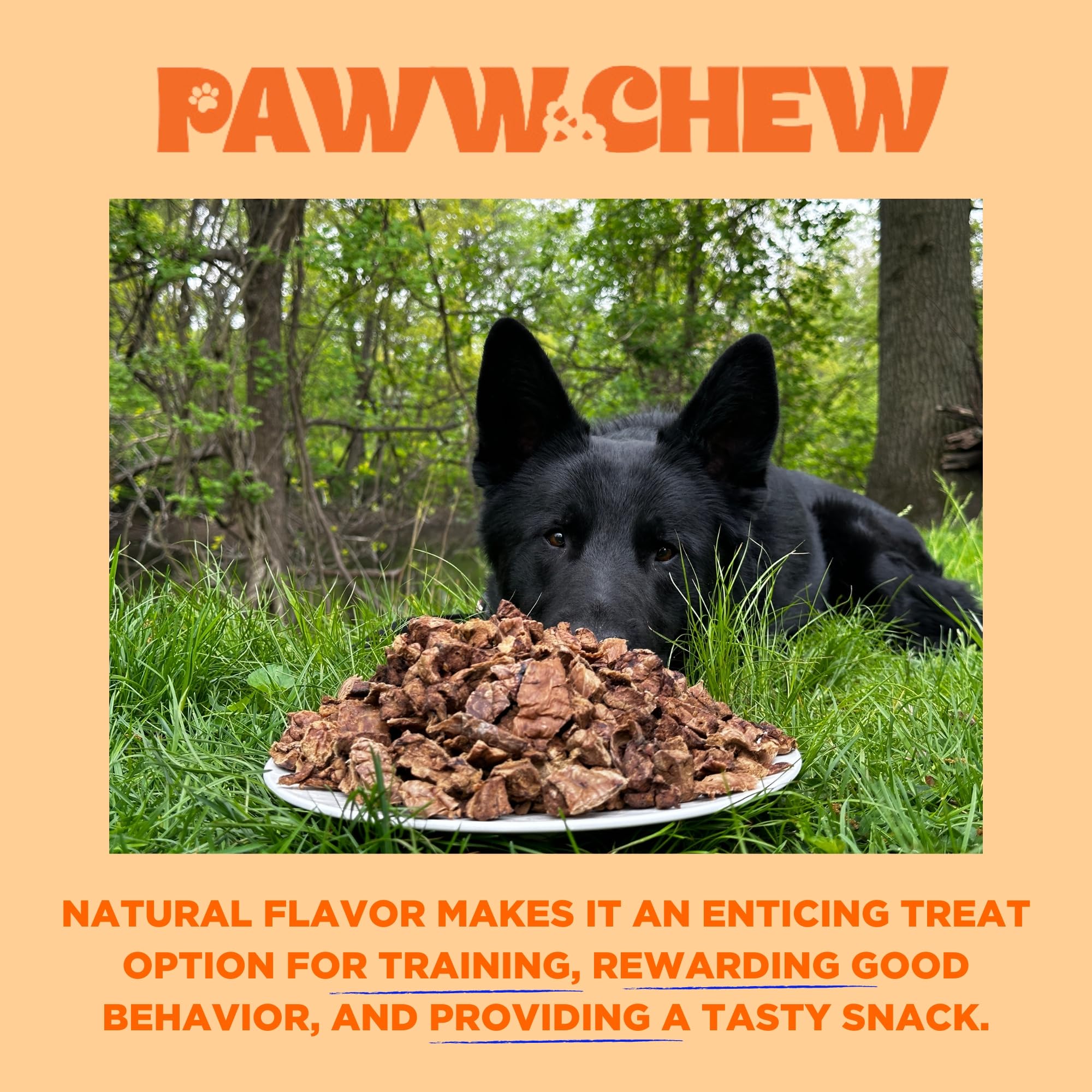PAWW CHEW ingredient label close-up showing single-ingredient transparency benefit
