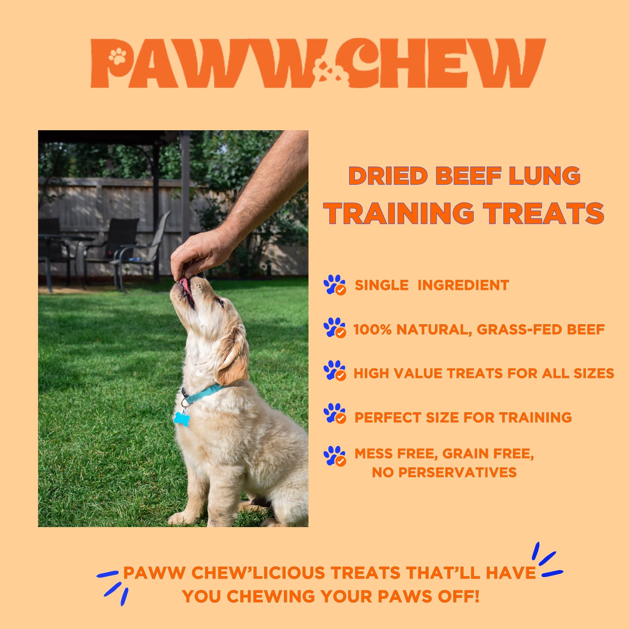 PAWW CHEW next to a hand for scale illustrating portion control benefit