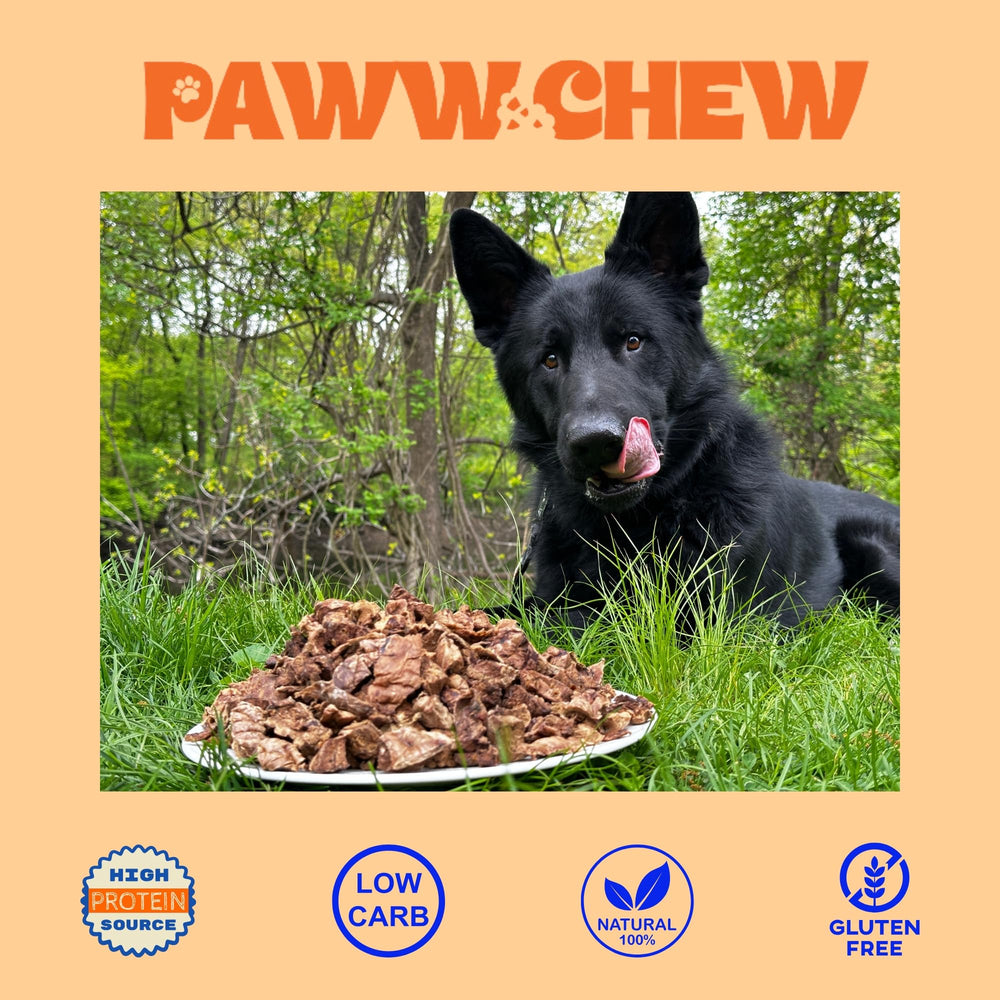PAWW CHEW used as a training reward showing dog engagement benefit