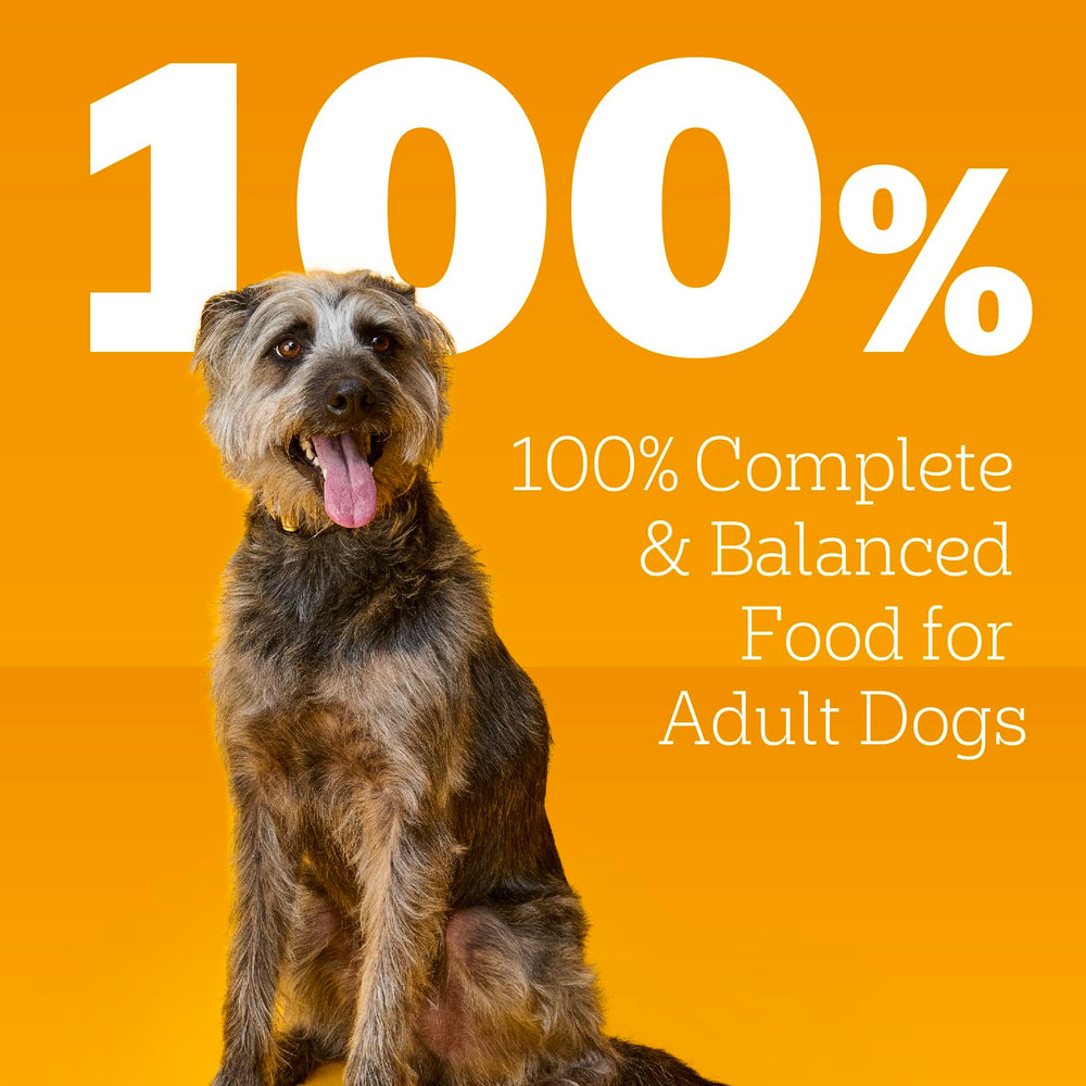 Pedigree mixed with kibble demonstrating added moisture and palatability