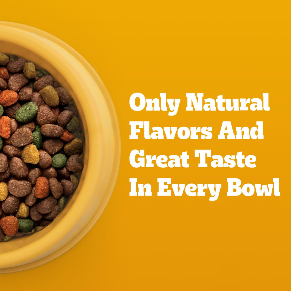 Pedigree dog eating from bowl demonstrating enjoyment and sustained energy