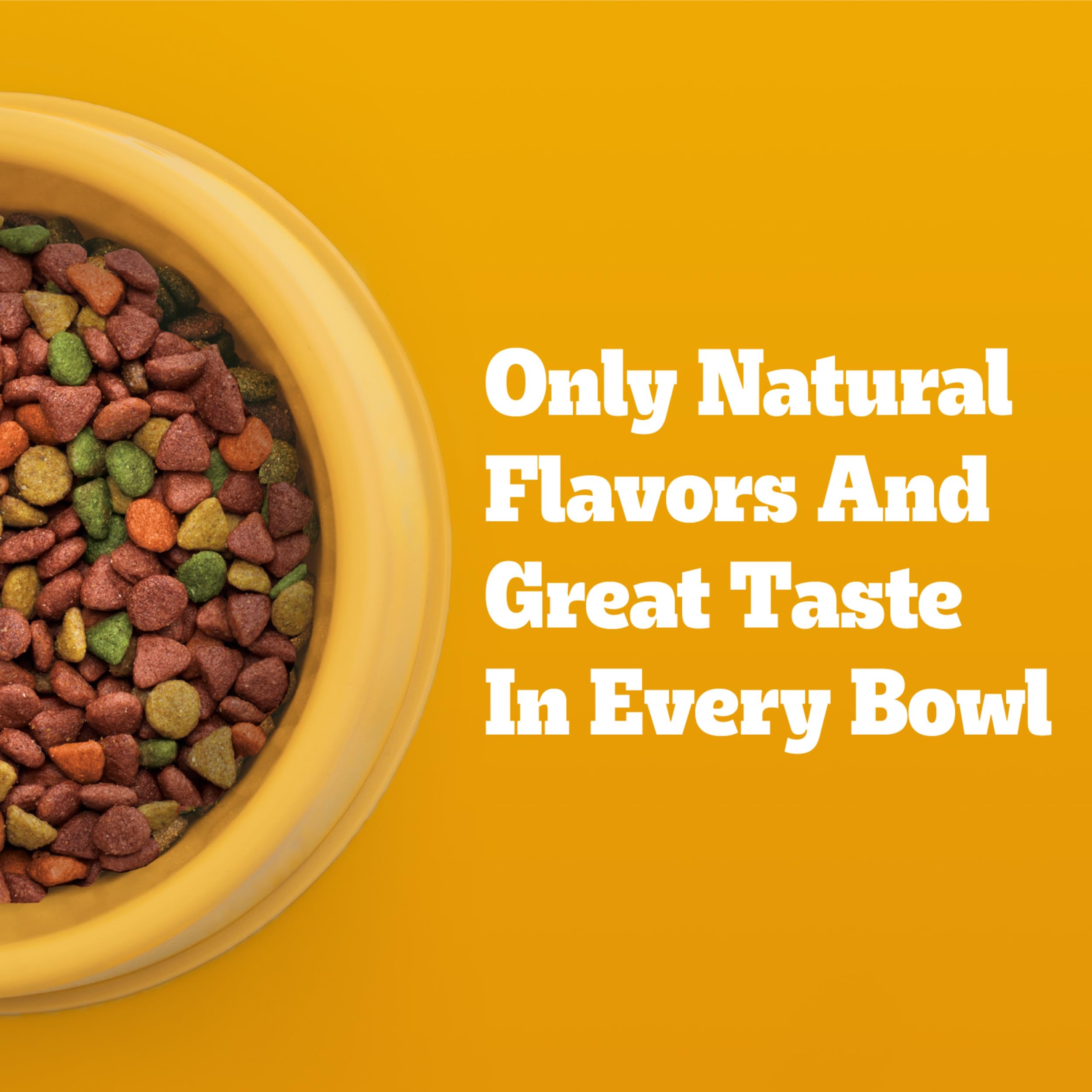 Pedigree small dog eating from bowl demonstrating meal enjoyment