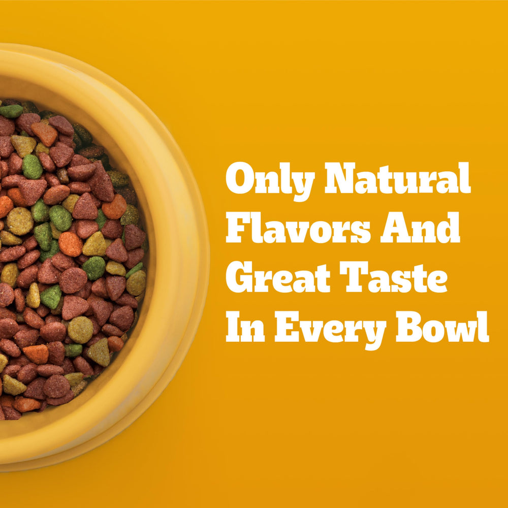 Pedigree small dog eating from bowl demonstrating meal enjoyment