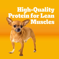 Pedigree close-up kibble texture highlighting digestibility benefits