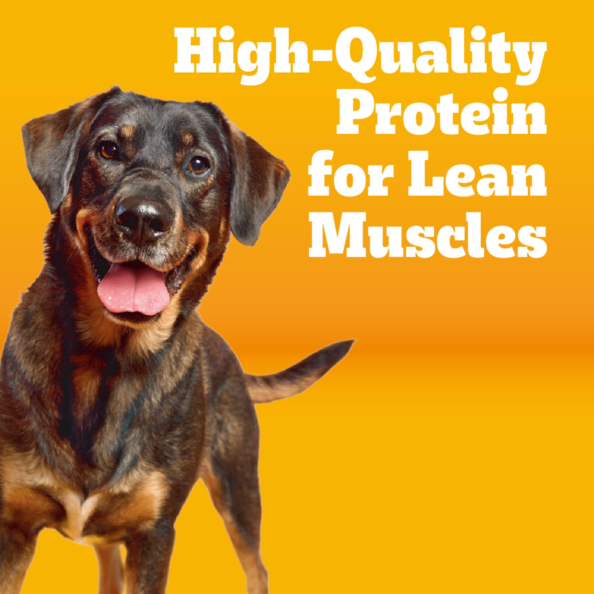 Pedigree kibble close-up texture highlighting crunchy, lower-fat pieces for satisfaction