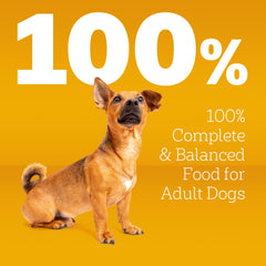 Pedigree kibble in hand showing small-breed scale and ease of chewing