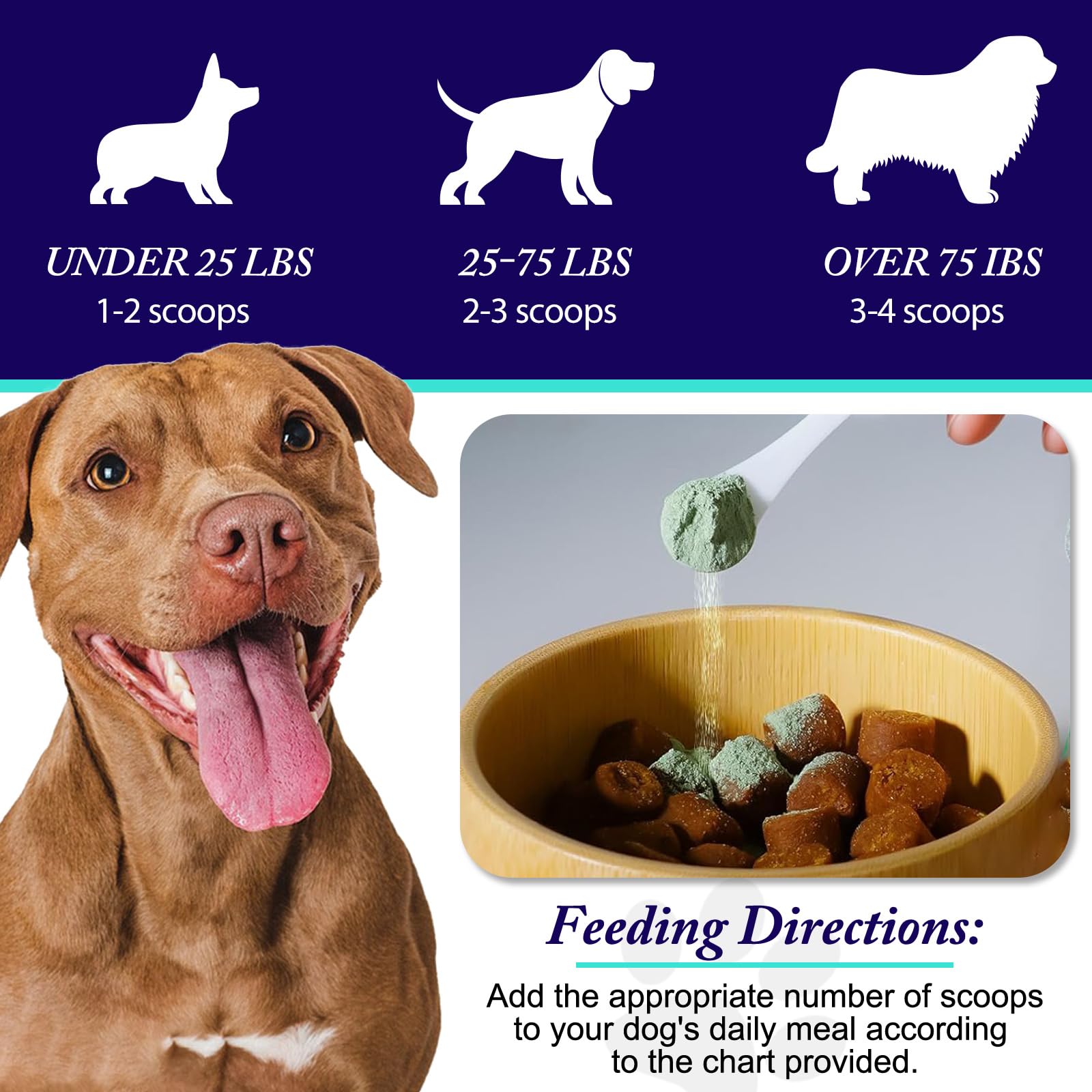 Peesnb dog enjoying meal after powder added indicating improved mealtime freshness