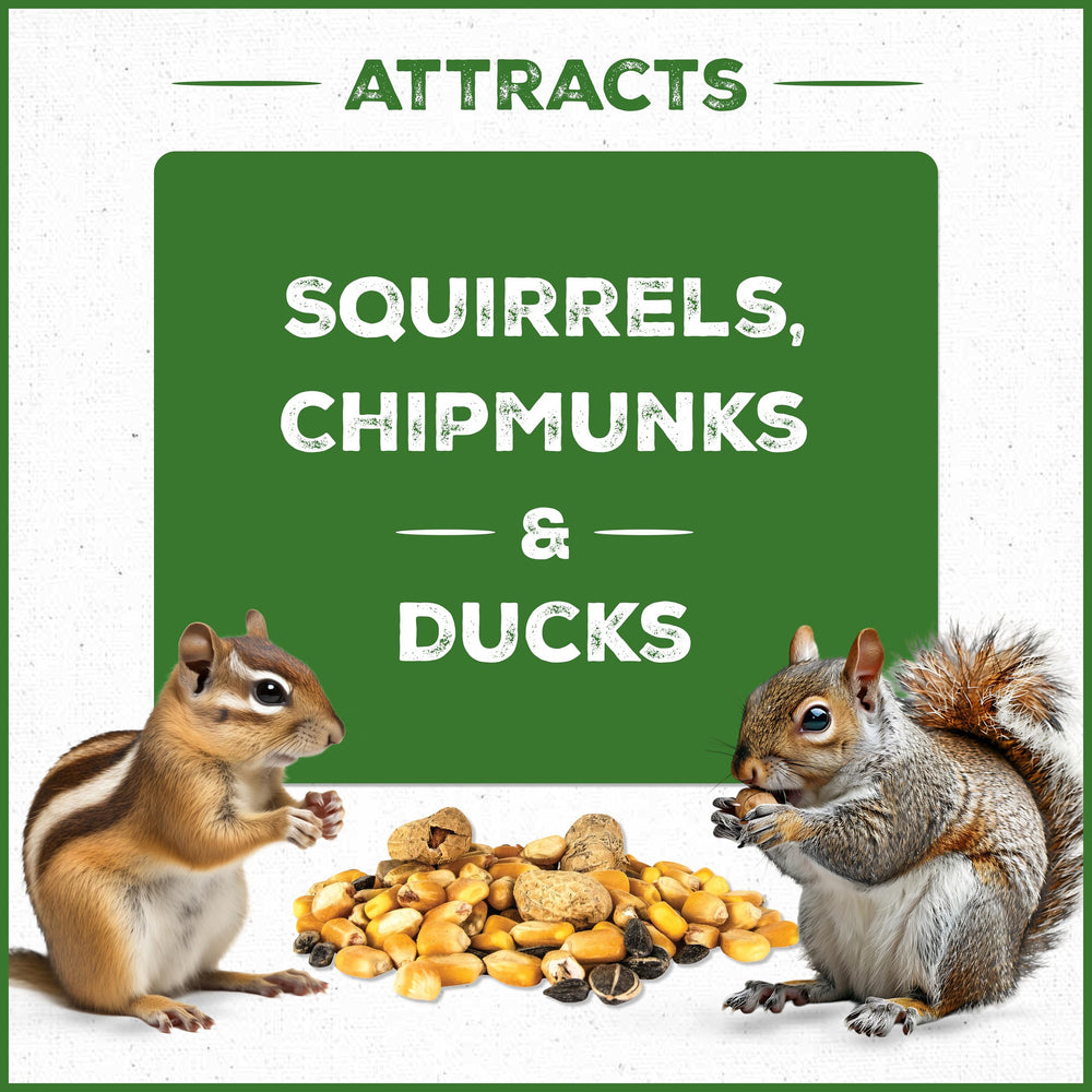 pennington feeder filled with blend demonstrating easy use and attractant
