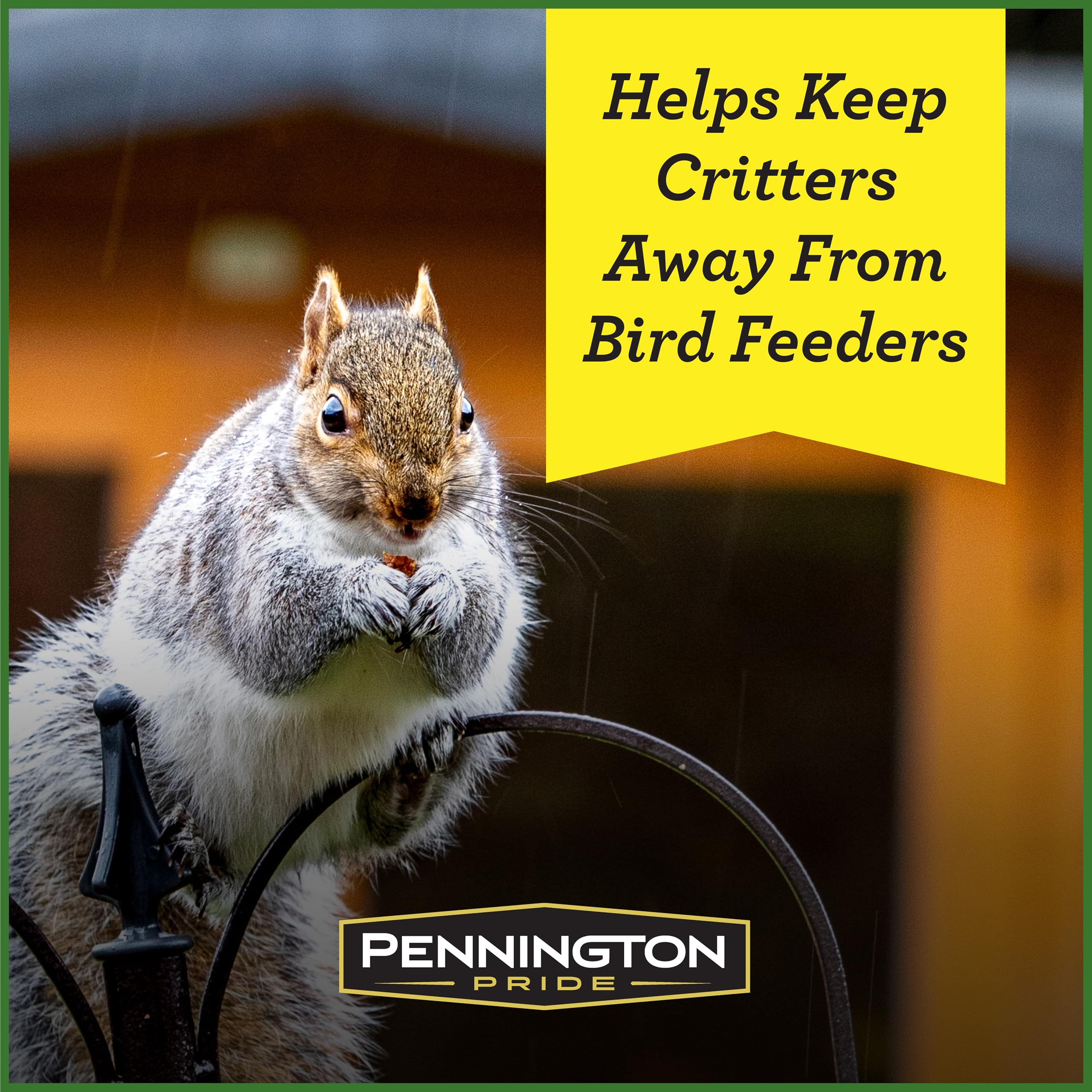 pennington in-shell peanuts detail showing whole nuts for lasting feed