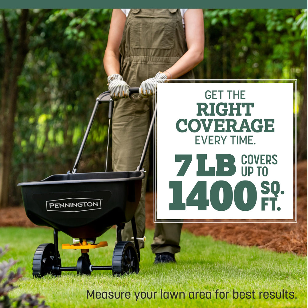 Pennington lawn under dry conditions showing drought-resistant performance
