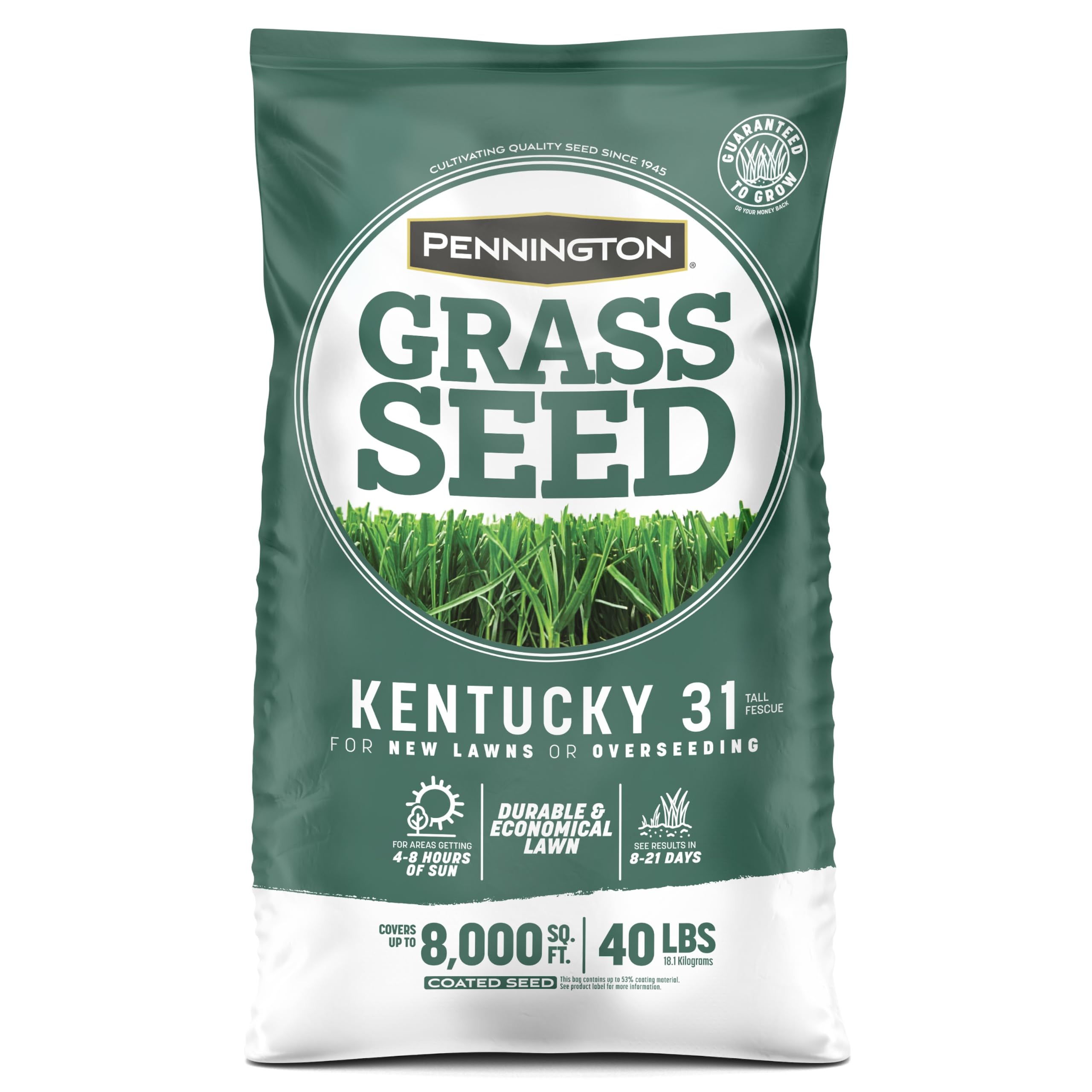 before-and-after lawn patch repaired using Pennington Kentucky 31 seed
