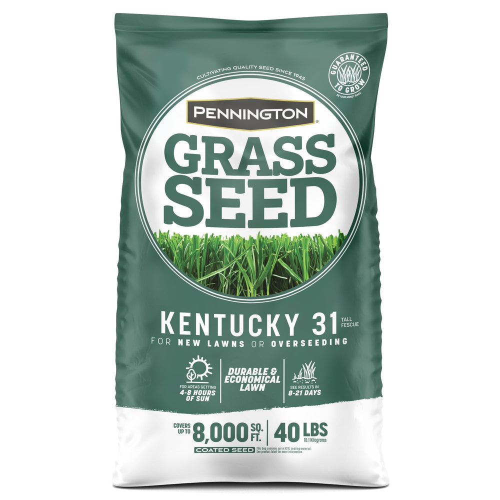 before-and-after lawn patch repaired using Pennington Kentucky 31 seed