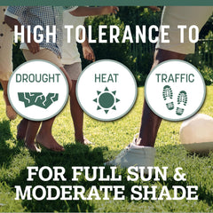 Pennington close-up of individual tall fescue seeds for texture and quality