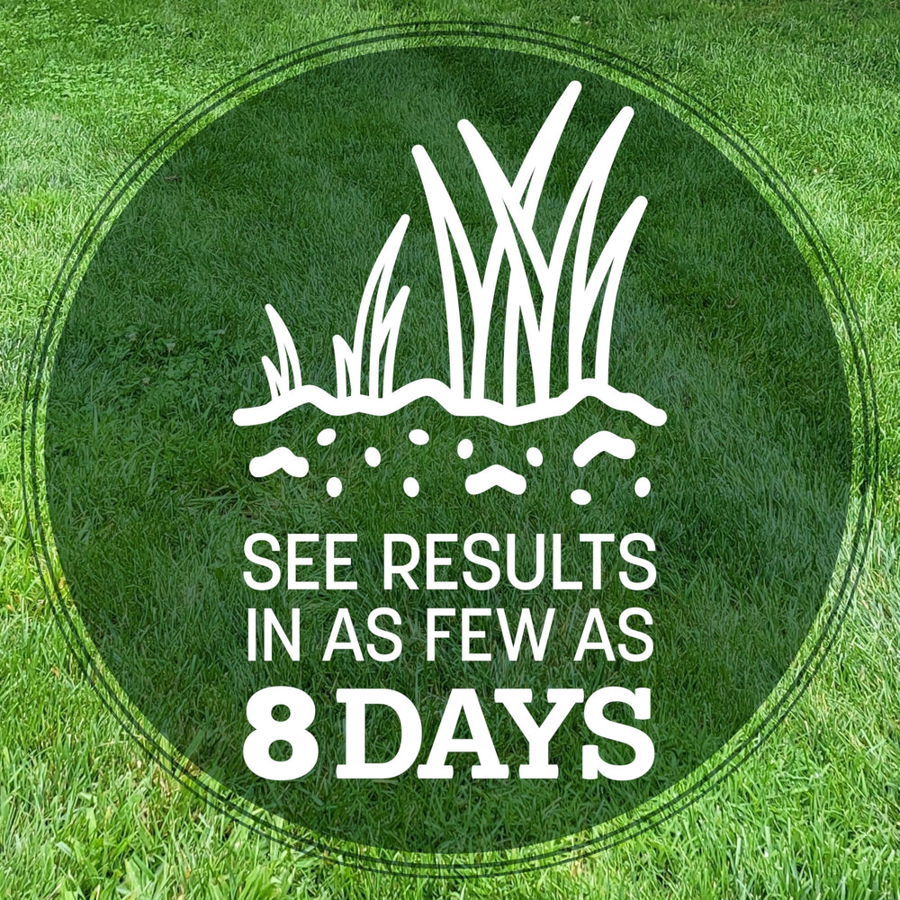 Pennington seed on soil close-up demonstrating seed-to-soil contact benefit