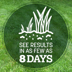 Pennington seed on soil close-up demonstrating seed-to-soil contact benefit