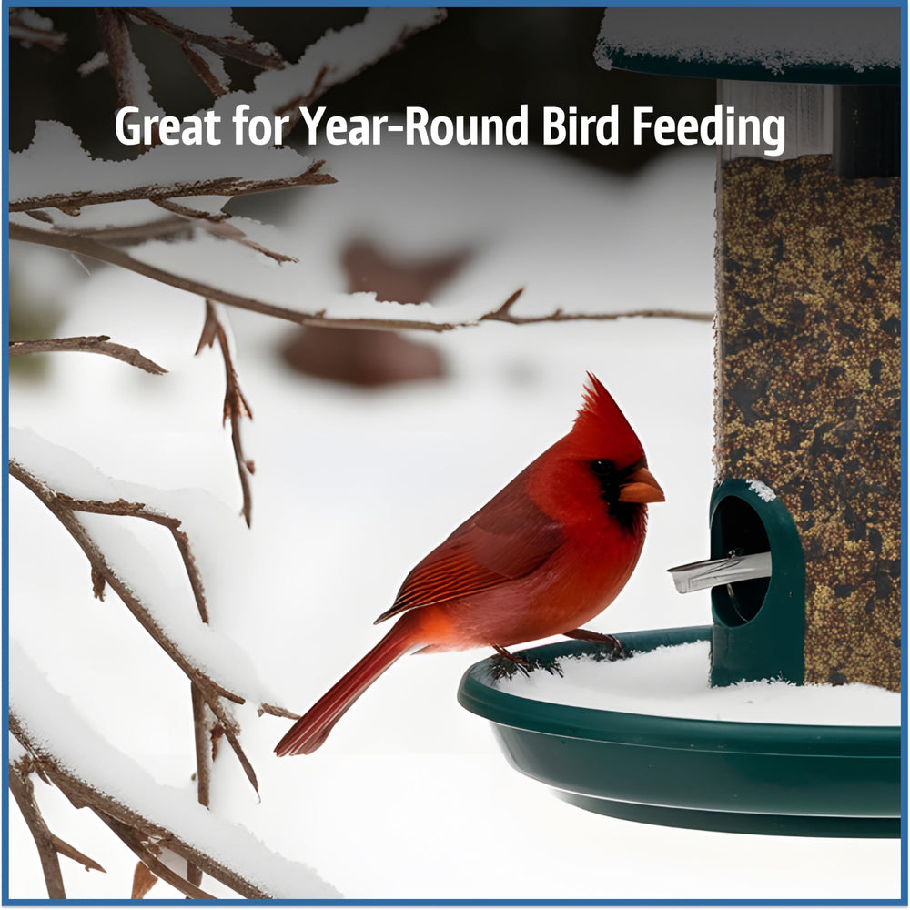 platform feeder filled with Pennington seed bringing diverse birds close