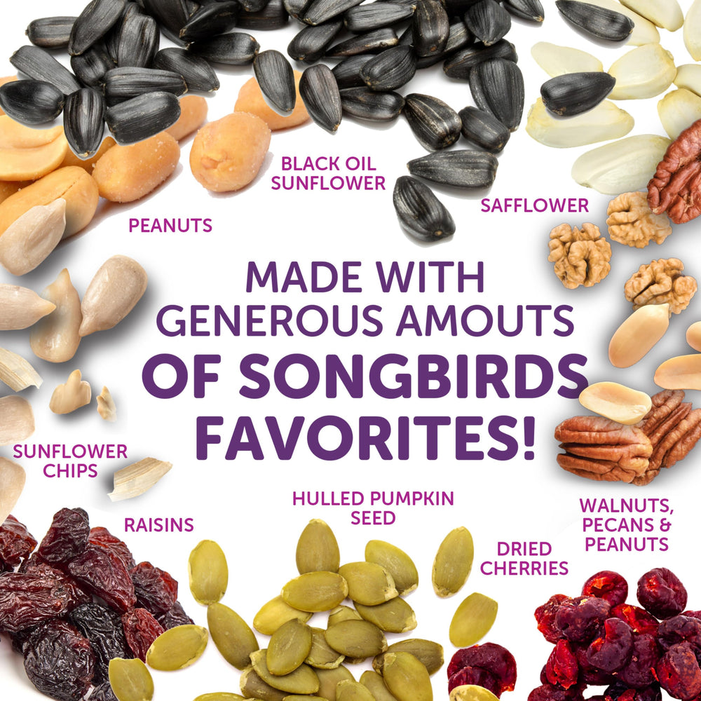 Pennington overhead of walnuts, pecans and peanuts, shows energy-rich fats