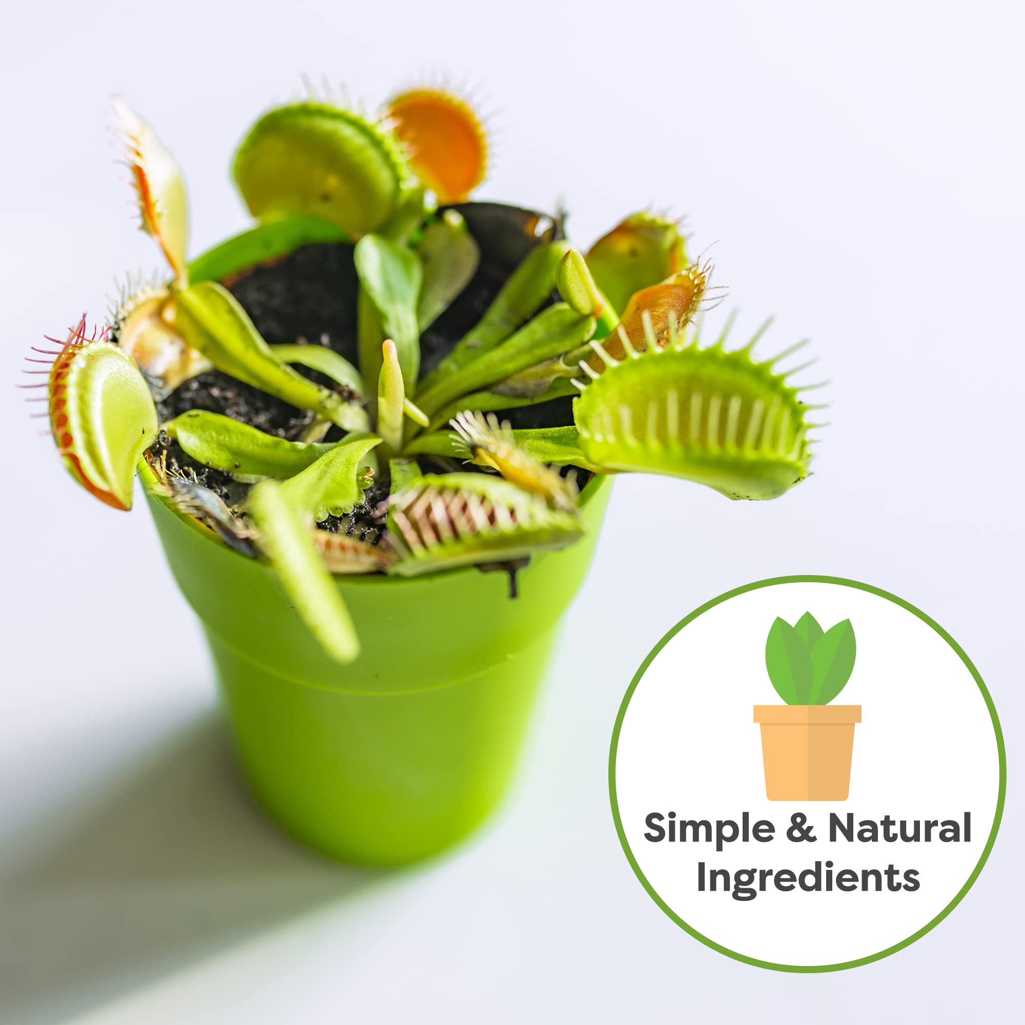 Perfect Plants used to pot a Venus flytrap demonstrating proper use