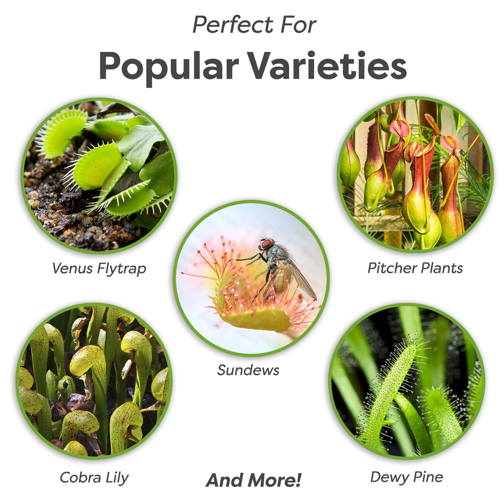 Perfect Plants close-up of soil texture for better moisture control