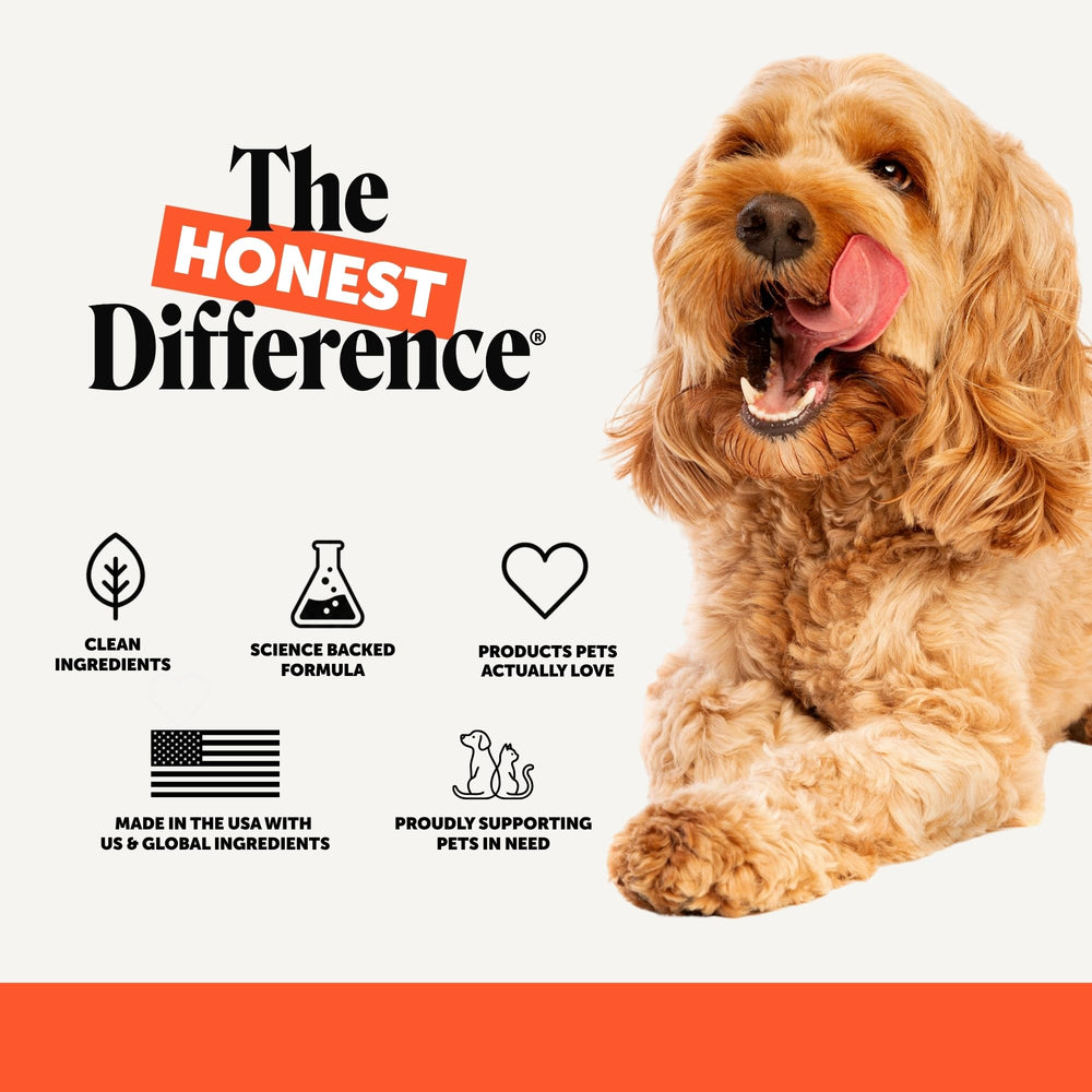 Pet Honesty open bottle overhead revealing ninety chicken-flavored chews