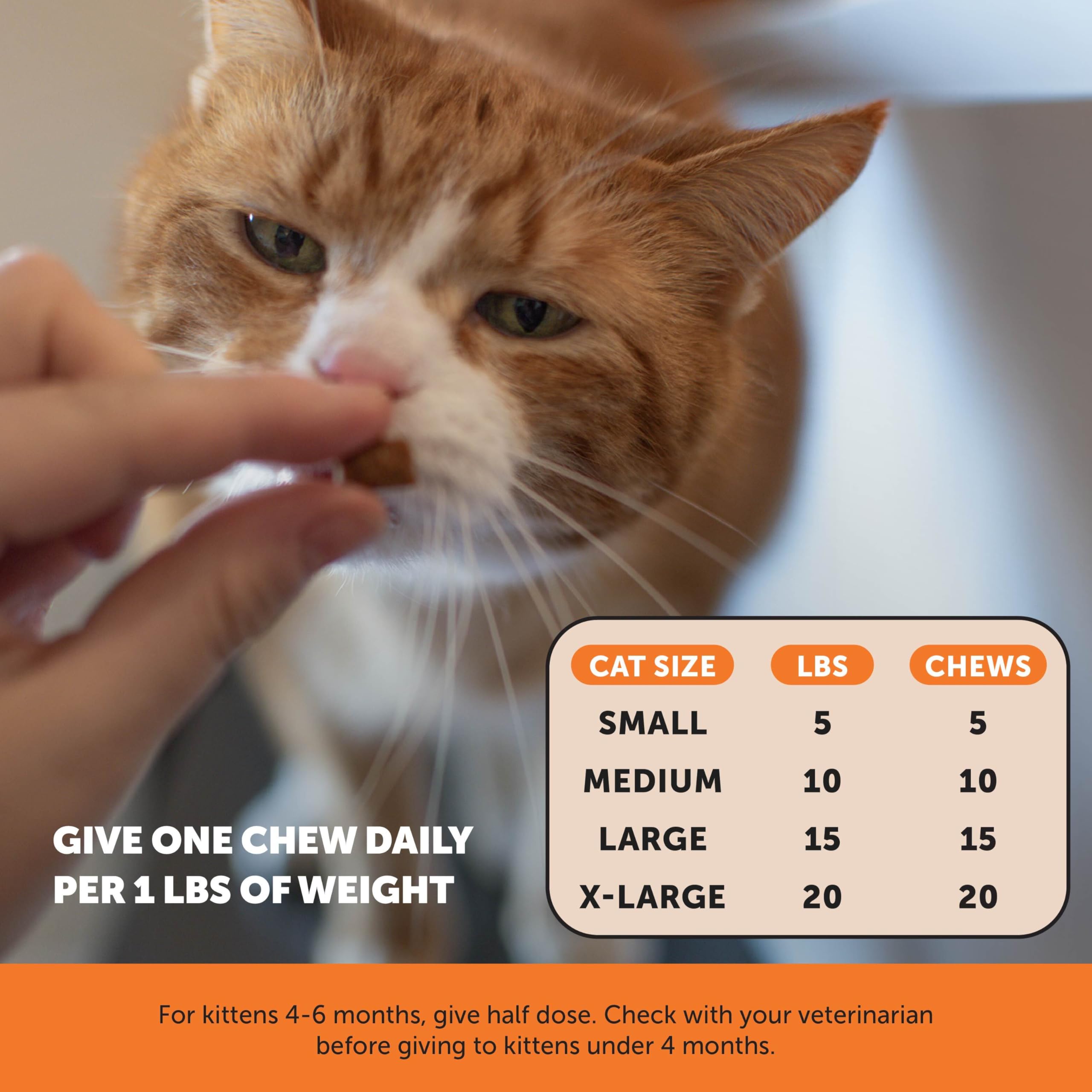 Pet Honesty bowl full of chicken-flavored chews ready for pet treat use