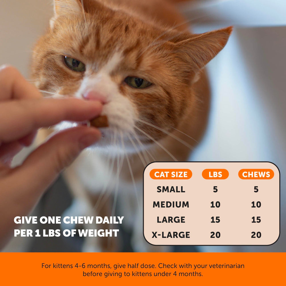 Pet Honesty bowl full of chicken-flavored chews ready for pet treat use