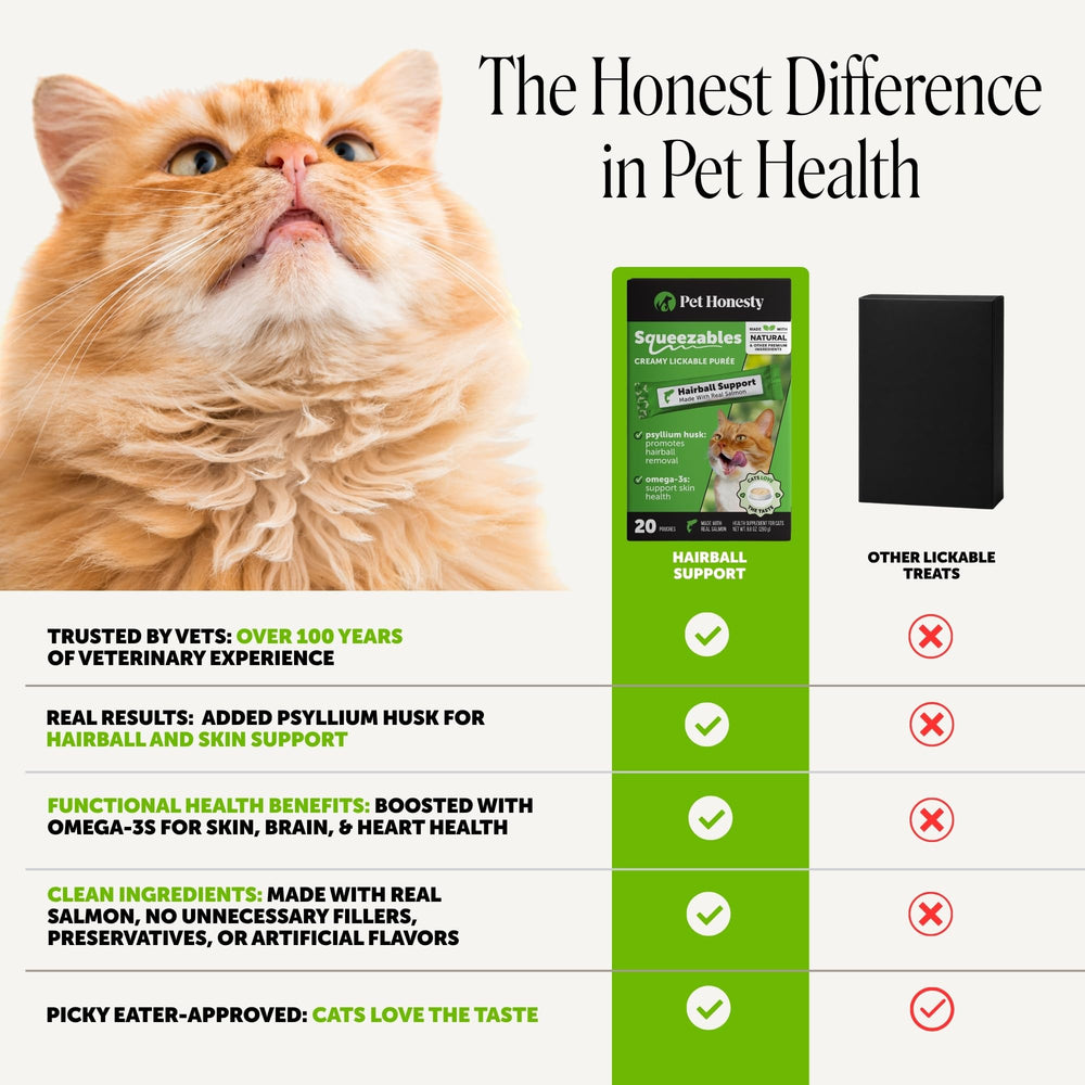 Pet Honesty cat licking puree from hand, high palatability encourages intake