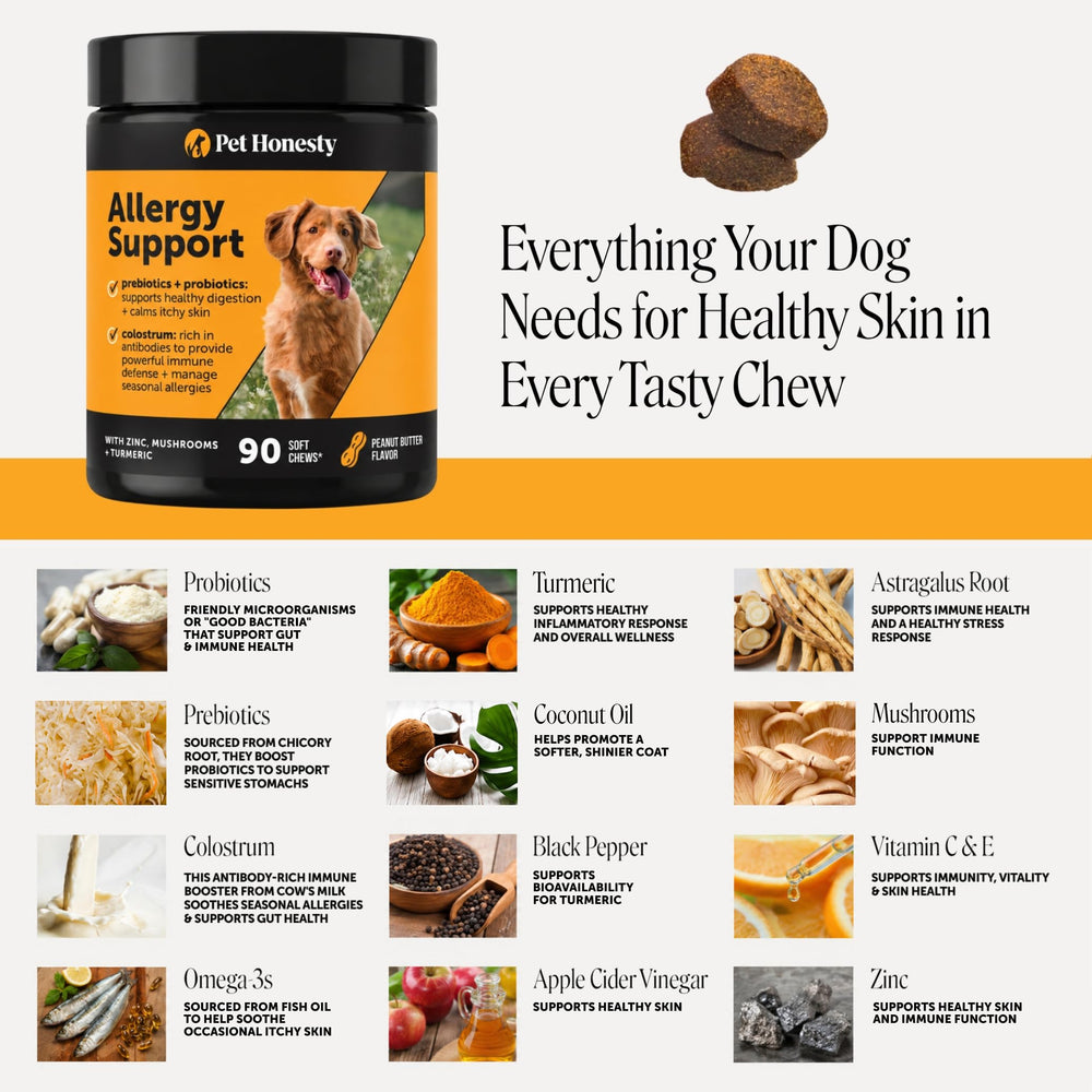 Pet Honesty chews in bowl suggesting daily serving convenience