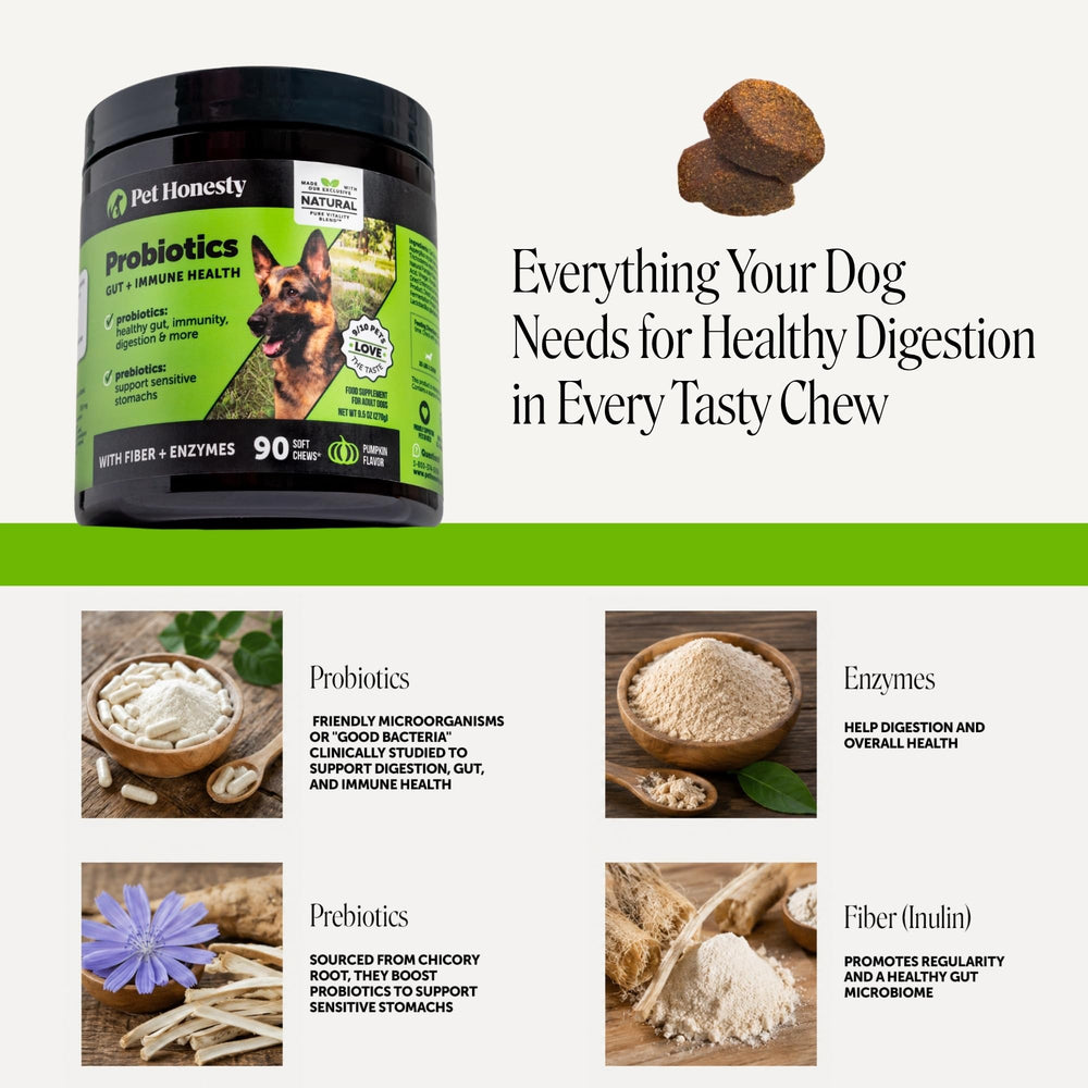 Pet Honesty chews placed in a dog bowl demonstrating convenient feeding benefit