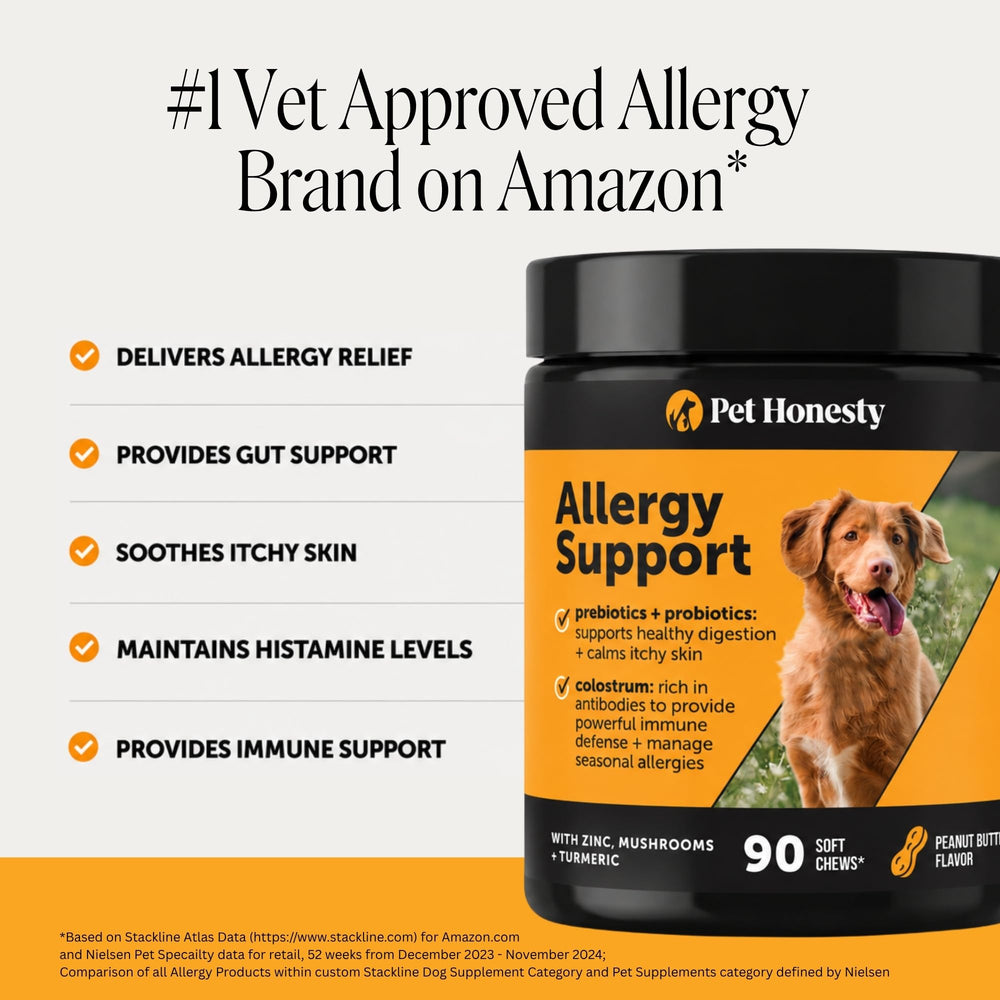 Pet Honesty chew in hand to show size and easy feeding benefit