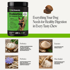 Pet Honesty chew held in hand to show chew size and portion control