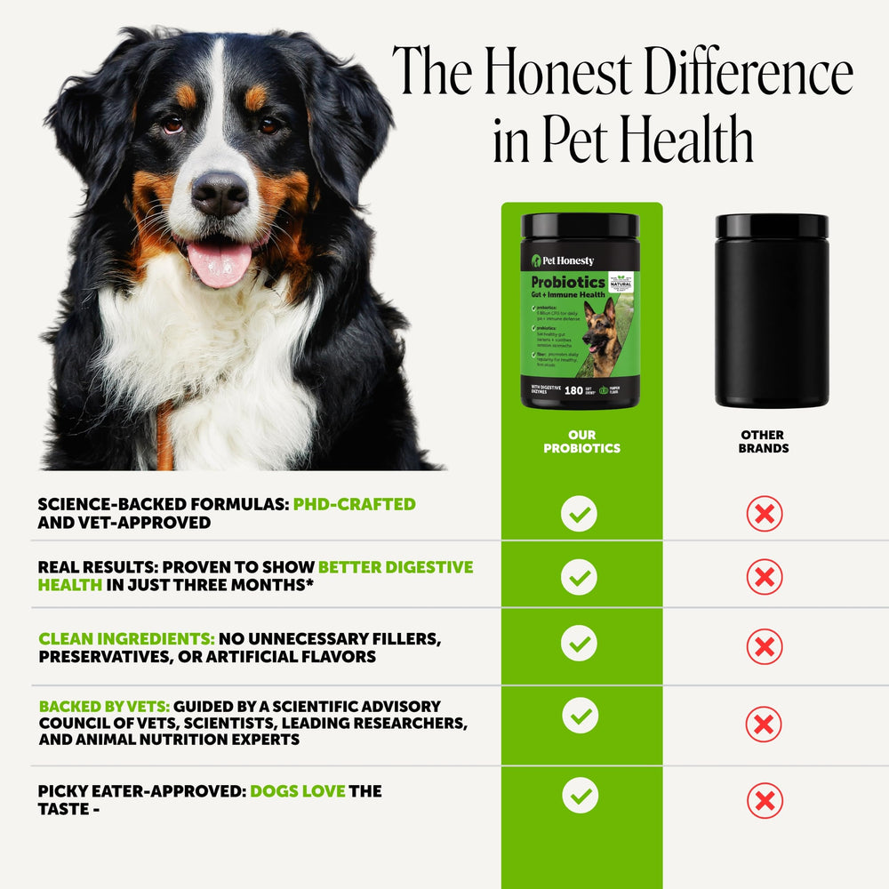Pet Honesty chew next to dog bowl illustrating daily supplement routine