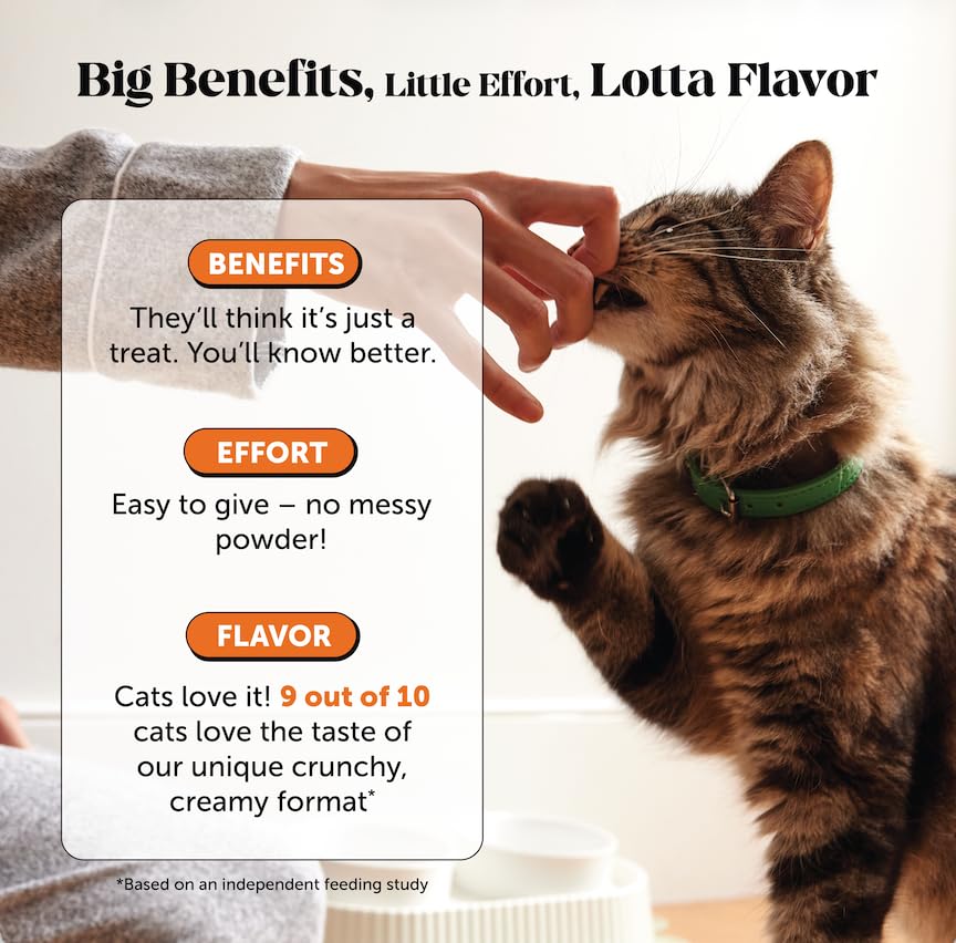 Pet Honesty chew split open showing creamy center to entice picky eaters