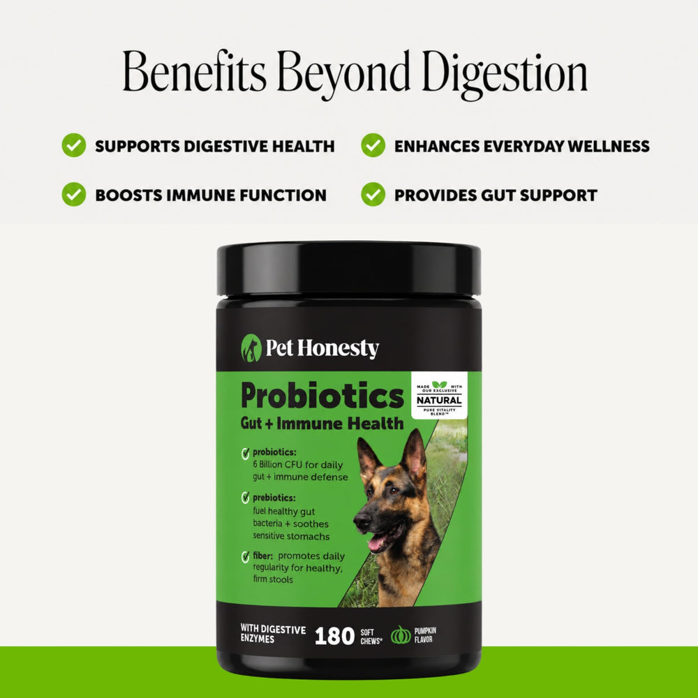 Pet Honesty chew texture close-up showing soft biteable chew for easy digestion