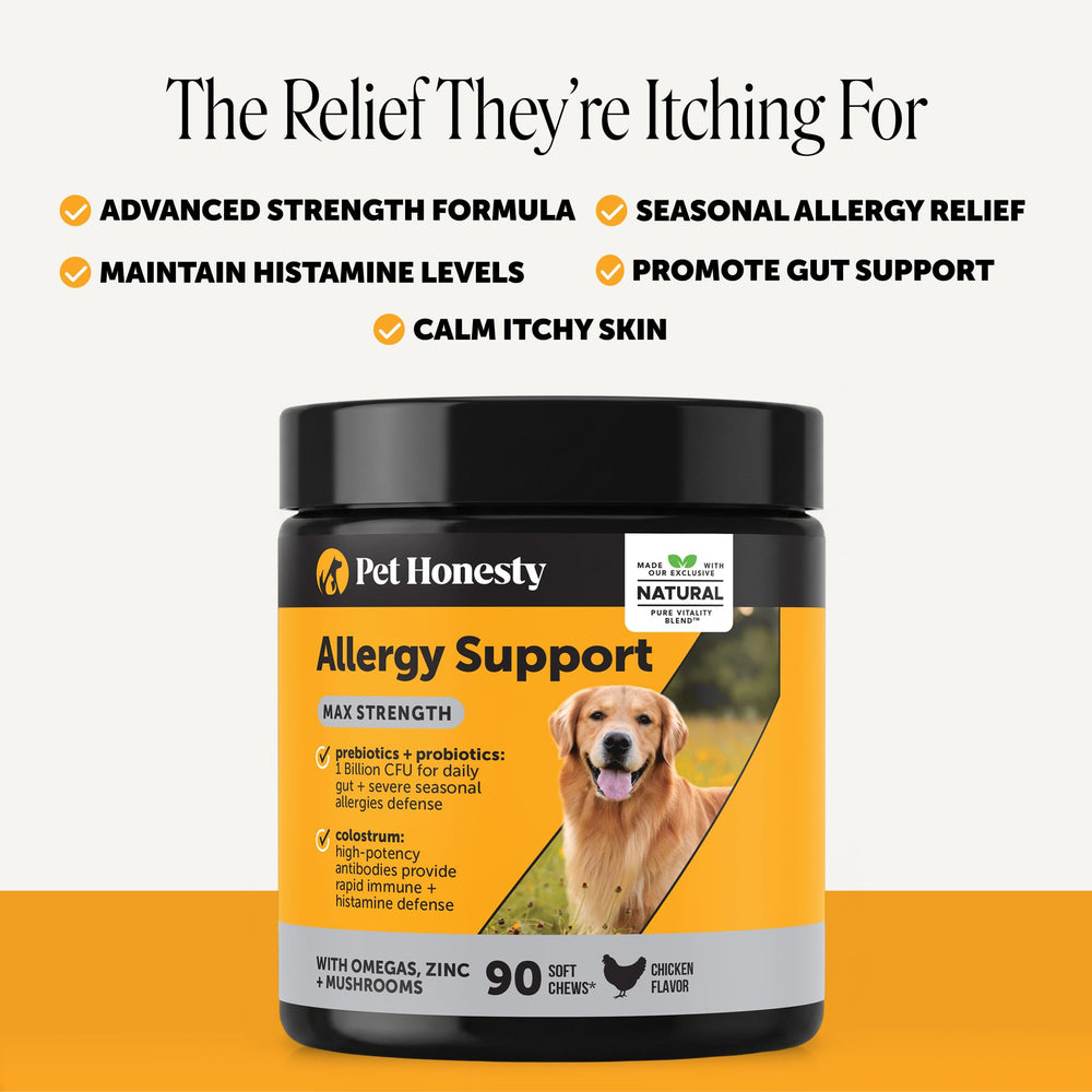 Pet Honesty chicken-flavored chew on hand to show scale and palatability