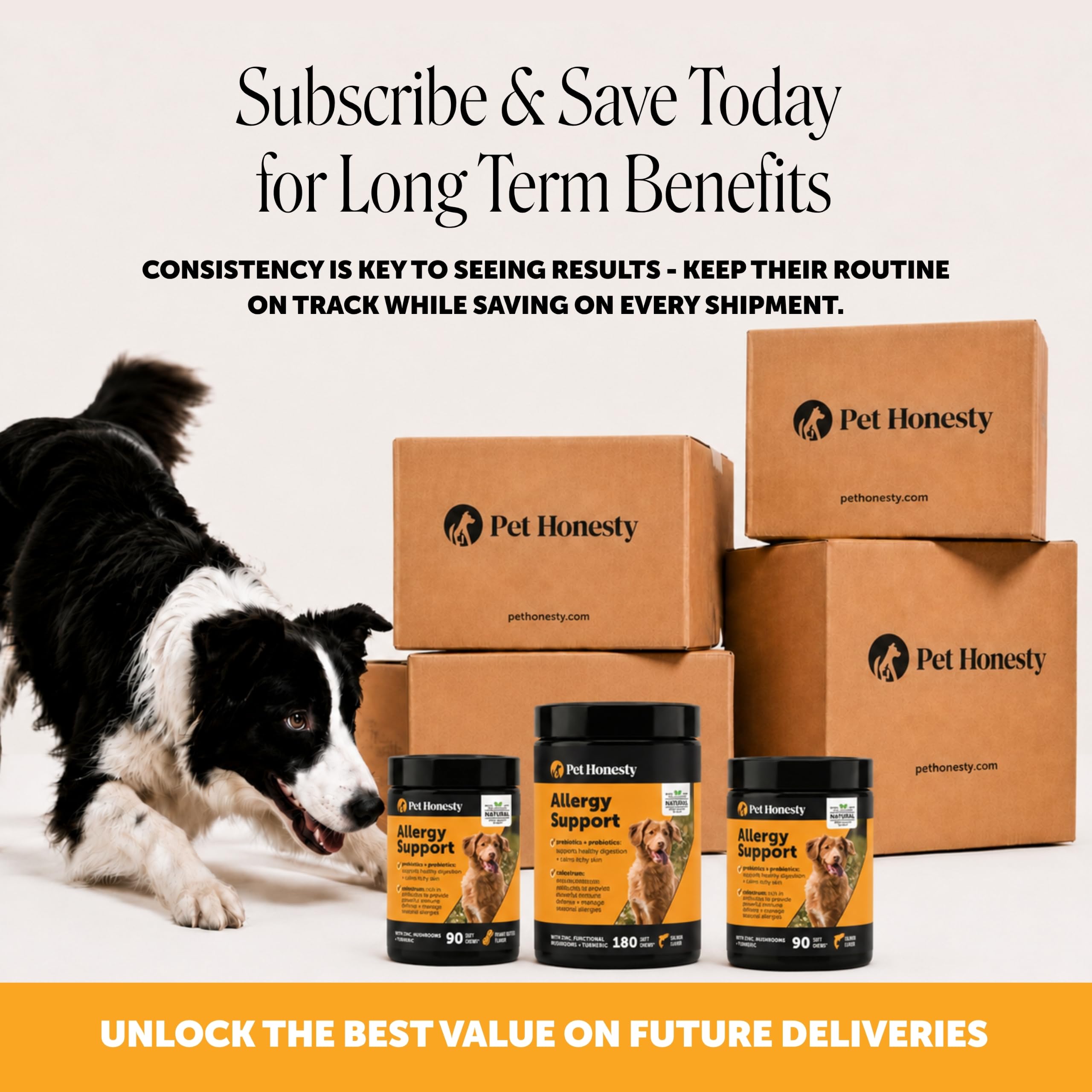 Pet Honesty dog eating a chew demonstrating high palatability