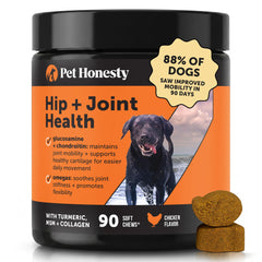 Pet Honesty front packaging showing 90-count chews and benefits