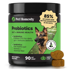 Pet Honesty front packaging showing pumpkin flavor and 90 count benefit