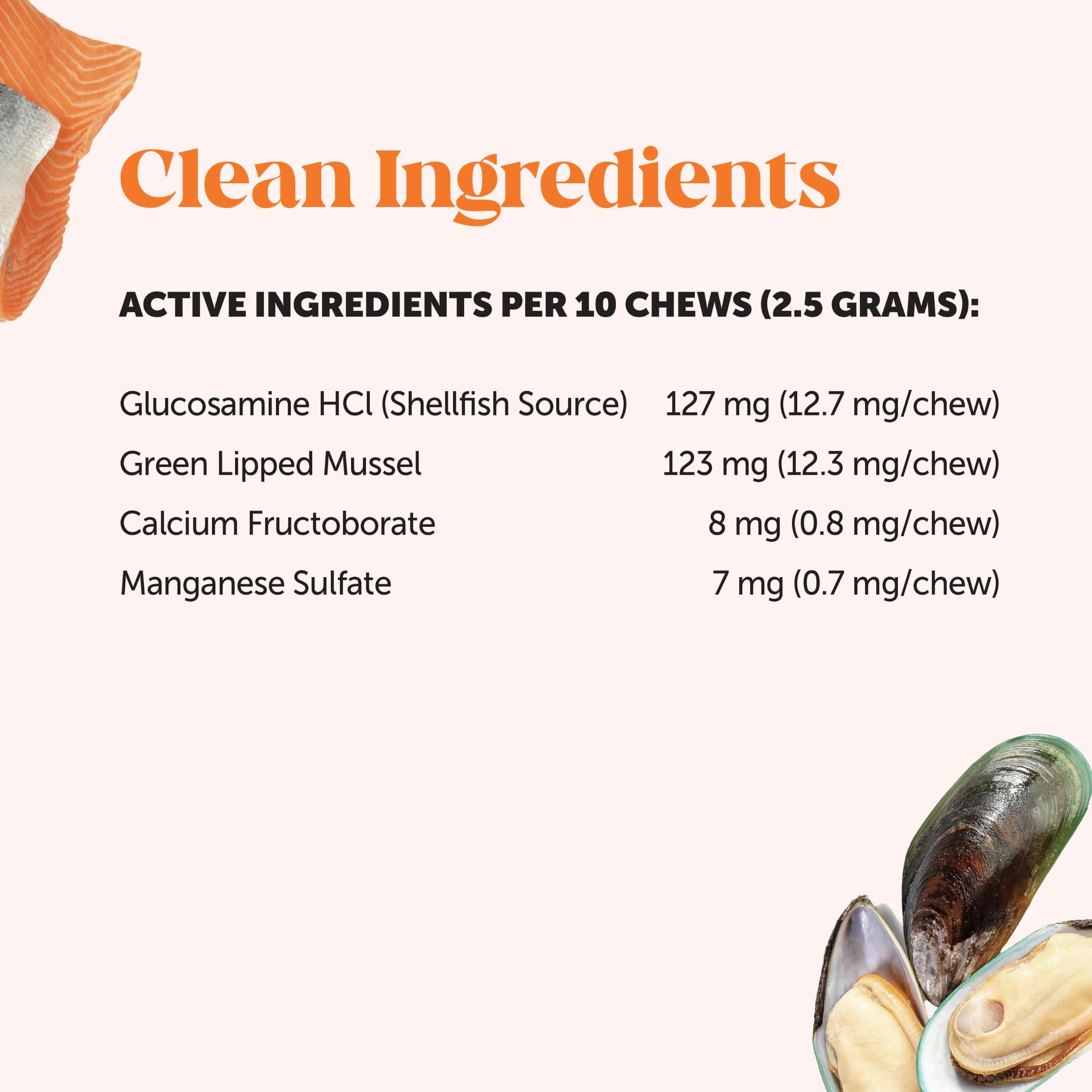 Pet Honesty green-lipped mussel ingredient close-up highlighting joint support