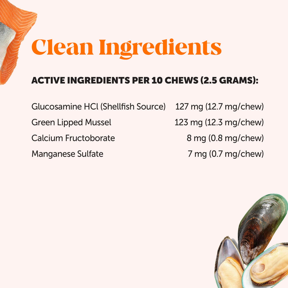 Pet Honesty green-lipped mussel ingredient close-up highlighting joint support