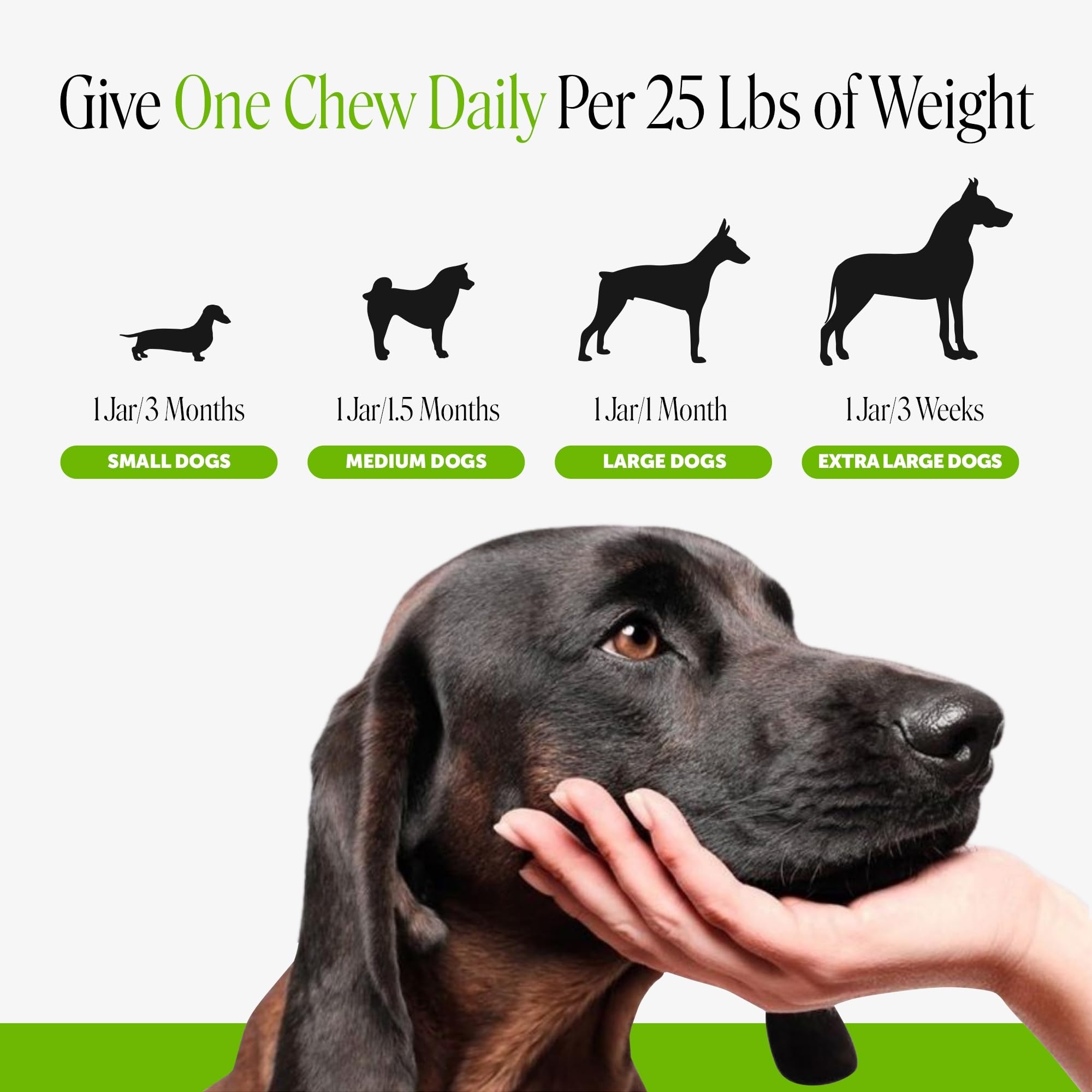 Pet Honesty with pumpkin and papaya ingredients showing natural fiber benefit