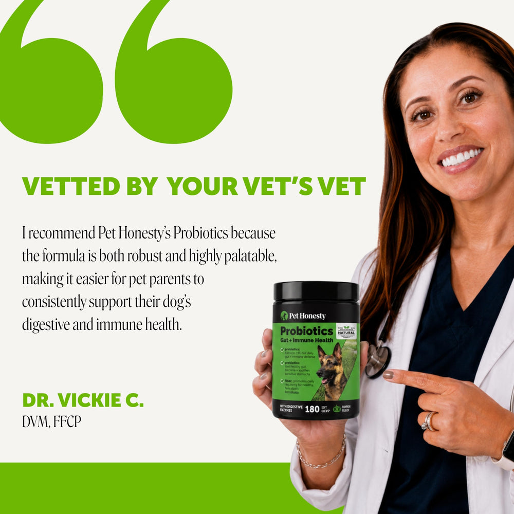 Pet Honesty natural ingredients display with pumpkin and papaya for digestion