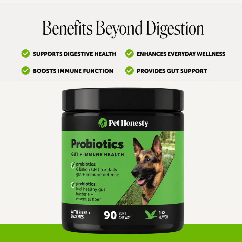 Pet Honesty pumpkin and papaya ingredients highlighting natural digestive enzymes