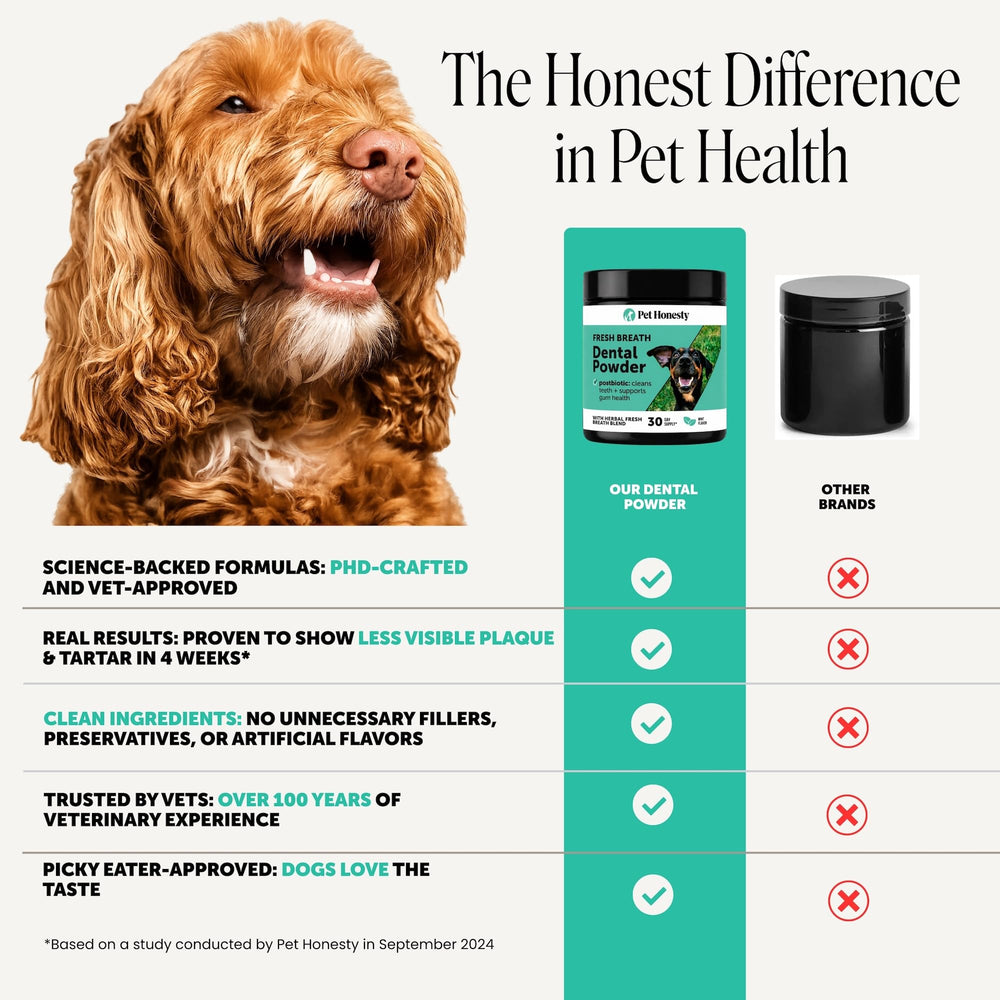 Pet Honesty jar beside a food bowl in a kitchen lifestyle scene for mealtime use